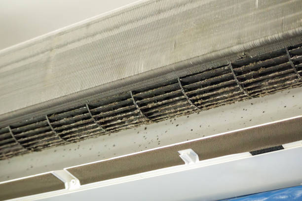 Best Air Vent Cleaning Services  in Linln Park, CO