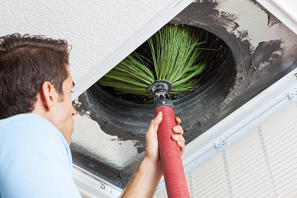 Best Home Air Vent Cleaning  in Linln Park, CO
